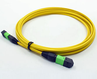 Telecom Standard Ribbon Optical Fiber Patch Cords OM3 OM4 Simplex Duplex Ribbon Optical Fiber Patch Cables